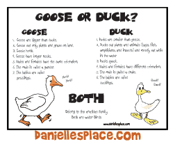 Duck or Goose? Sheet