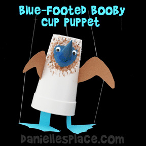Blue-footed Booby Craft