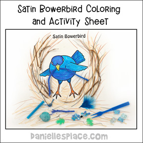 Bowerbird Activity Sheet