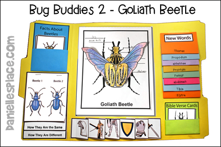 Bug Buddies Study 2 - Goliath Beetle