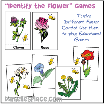 "Identify the Flowers" Game