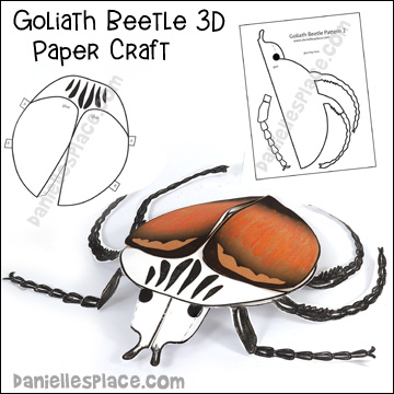 Goliath Beetle Craft