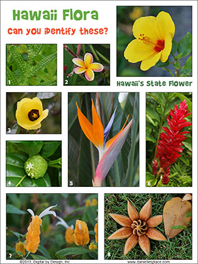 Hawaii Flora Printable
