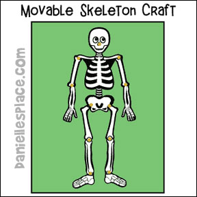 Skeleton with Moveable Arms, Head, and Legs