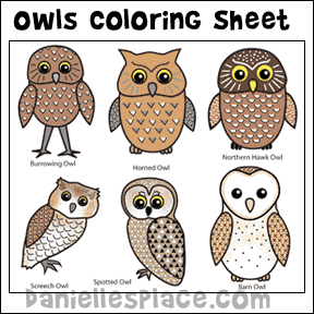 Types of Owls  Coloring Sheet 