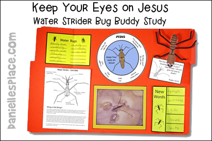 Bug Buddies Studies - Water Strider Bible Lesson