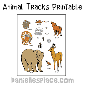 Animal Tracks Match Up