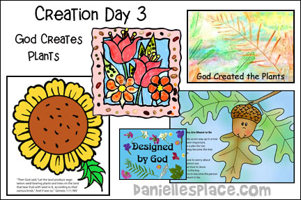 Creation Day 3 - Plants for Sunday School and Children's Ministry Including Bible Crafts, Games and Bible Verse Review Activities, Bible Reference: Genesis 1:1-5, Printable Postcards for Sunday School, Identify Seeds activity, Look at Pictures of Plants activity, God Creates Pictures of Flowers and Seeds craft, Decorate a Frame for a Creation Picture, Sunflower and Seeds Picture craft, pressed flowers designed by God craft, paper plate flower wreath craft, play a Guessing Game activity, days of creation review game with dice, plant seeds activity, Make a Leaf Rubbing Collage and then paint it with watercolors, Make a Bulletin Board Display, Make a Book activity, Read God’s Oak Tree by Allia Zobel Nolan, Color a Picture of an Acorn with a Poem, Plant an Acorn or Other Seeds, Take a nature walk and look for seeds, Creation Song, Creation Day Three Song, daniellesplace.com, danielleplace.com, daniellepace.com, danielsplace.com, danielplace.com, danielspace.com
