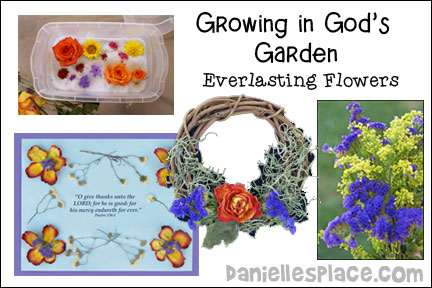 Growing in God's Garden - Everlasting Flowers for Sunday School and Children's Ministry, Including Bible Crafts, Games, songs,  and Bible Verse Review Activities, Bible Reference: Psalm 136, Make Paper Towel Tube Pots and Plant Everlasting Flowers, Collect and Dry Flowers, Make Potpourri from Dried Flowers, Make a Flower Picture with the Bible Verse from Dried Flowers, Decorate a Wreath with Dried Flowers, Play a Memory Game, Play a Water Relay Game, Have a Seed Race, Everlasting Race, Sing God’s Love is Everlasting by Tom Tomaszek, 
daniellesplace.com, daniellespace.com, daniellplace.com, daniellsplace.com, danielsplace,com, danielspace.com, danielplace.com, danilesplace.com, danielplace.com                   