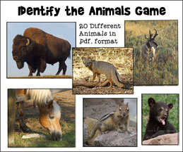 Identify the animals Noah's Ark Game