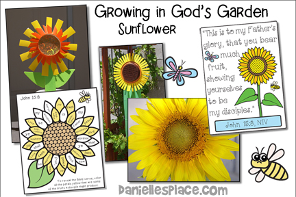 Sunflower - Growing in God's Garden Bible Lesson for Children