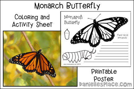 Monarch Butterfly Coloring Sheet and Poster