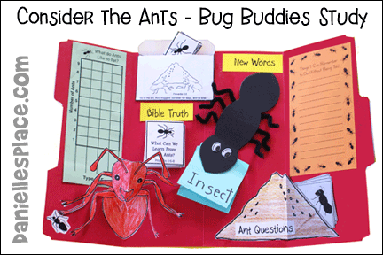 Consider the Ants Bug Buddies Study